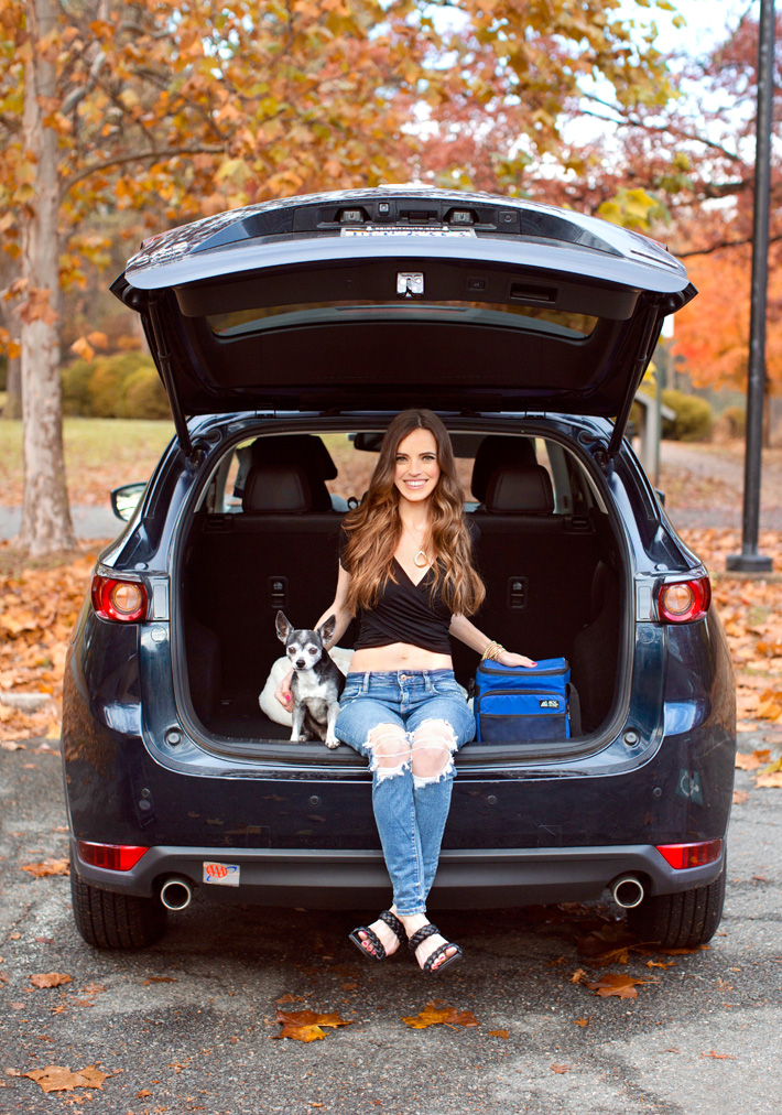 Vegan Road Trip Healthy Snacks Vegan Road Trip Healthy Snacks