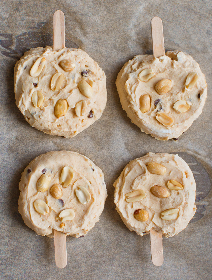 Chocolate Chip Frozen Yogurt Treats Chocolate Chip Frozen Yogurt Treats