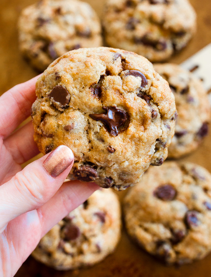 Gooey Chocolate Chip Cookie Gooey Chocolate Chip Cookie