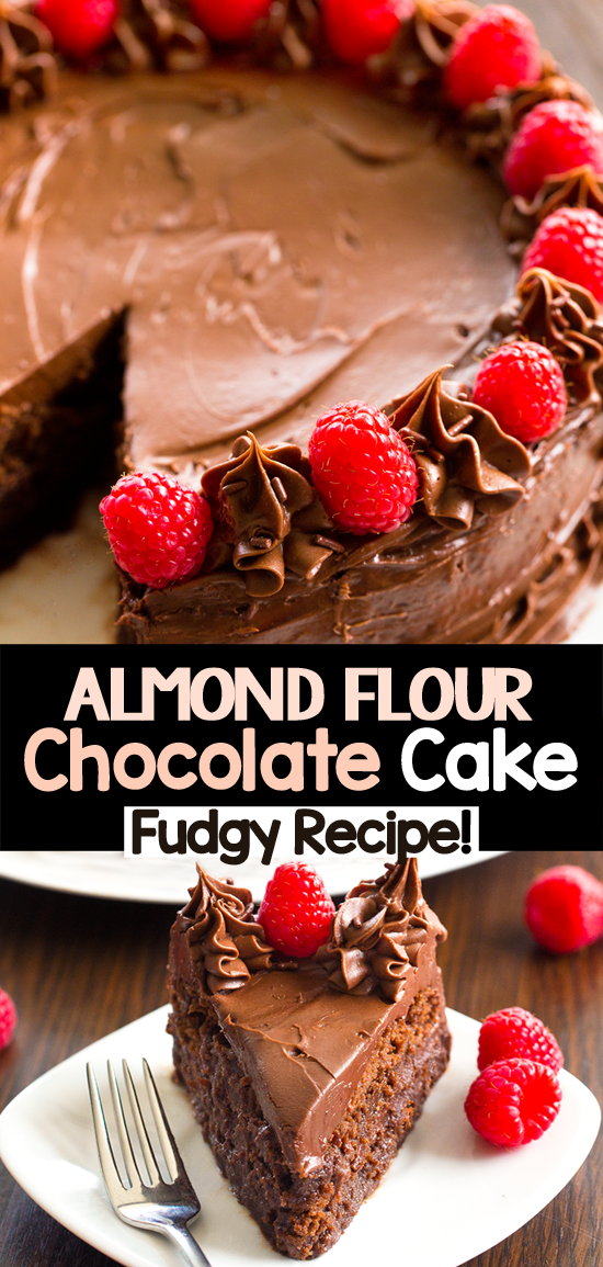 The Best Fudgy Almond Flour Chocolate Cake Recipe The Best Fudgy Almond Flour Chocolate Cake Recipe