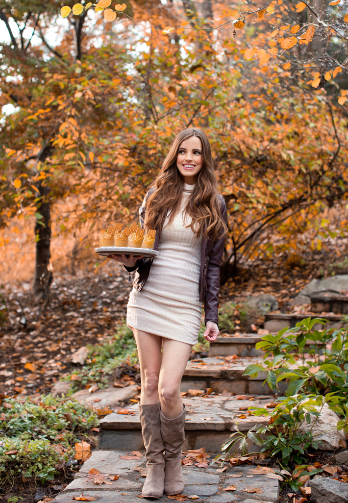 Chocolate Covered Katie Pumpkin Recipe Chocolate Covered Katie Pumpkin Recipe