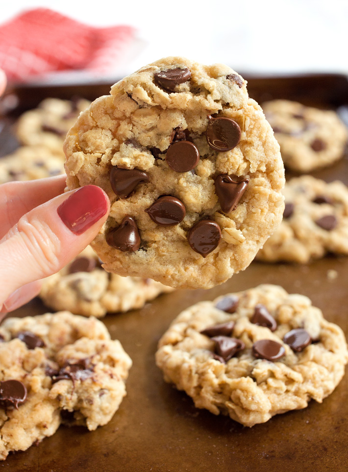 Chocolate Chip Oat Cookie Chocolate Chip Oat Cookie