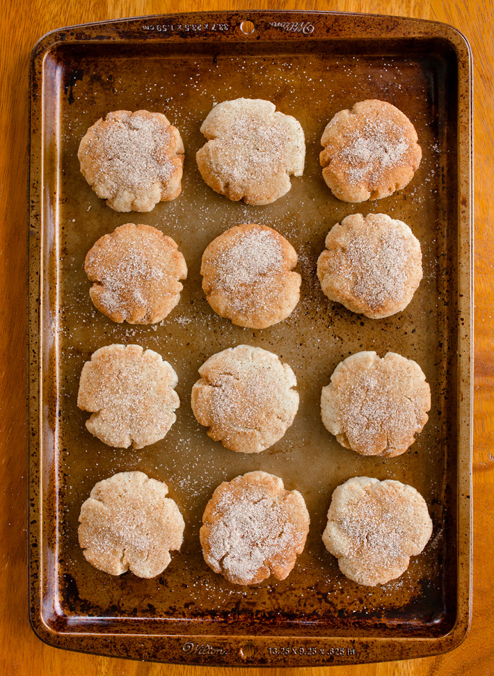 Flourless Snickerdoodle Cookies Flourless Snickerdoodle Cookies