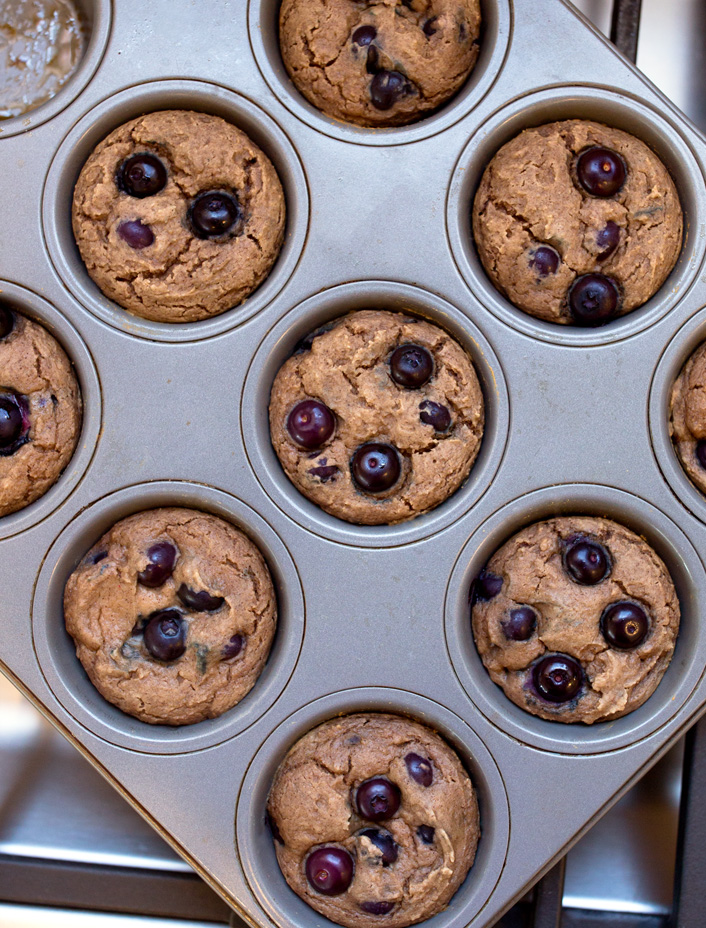 Blueberry Muffins With Protein Powder Blueberry Muffins With Protein Powder