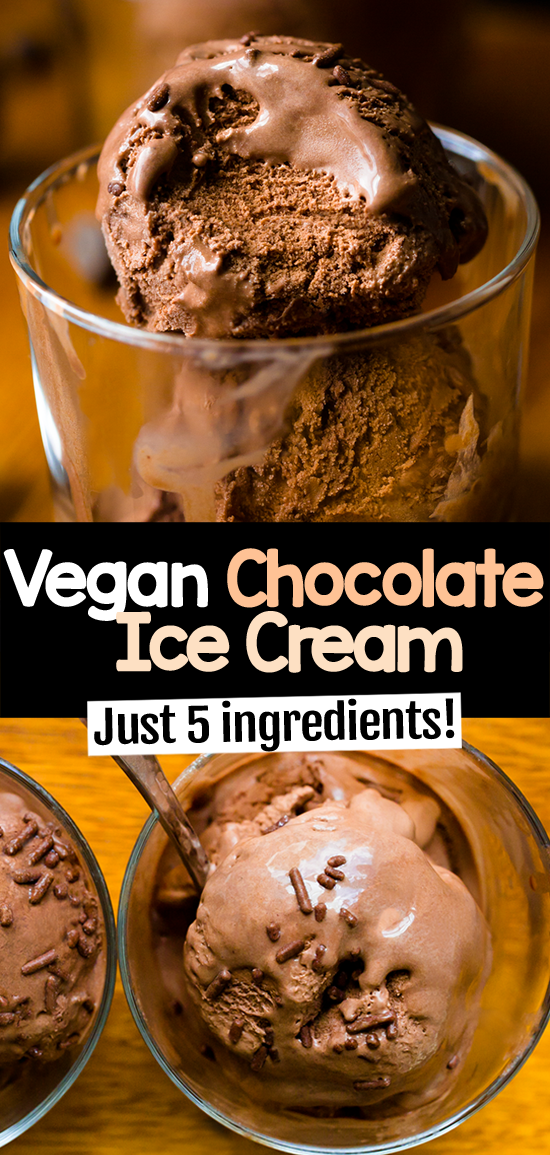 Easy Plant Based Chocolate Ice Cream (Vegan Dessert)