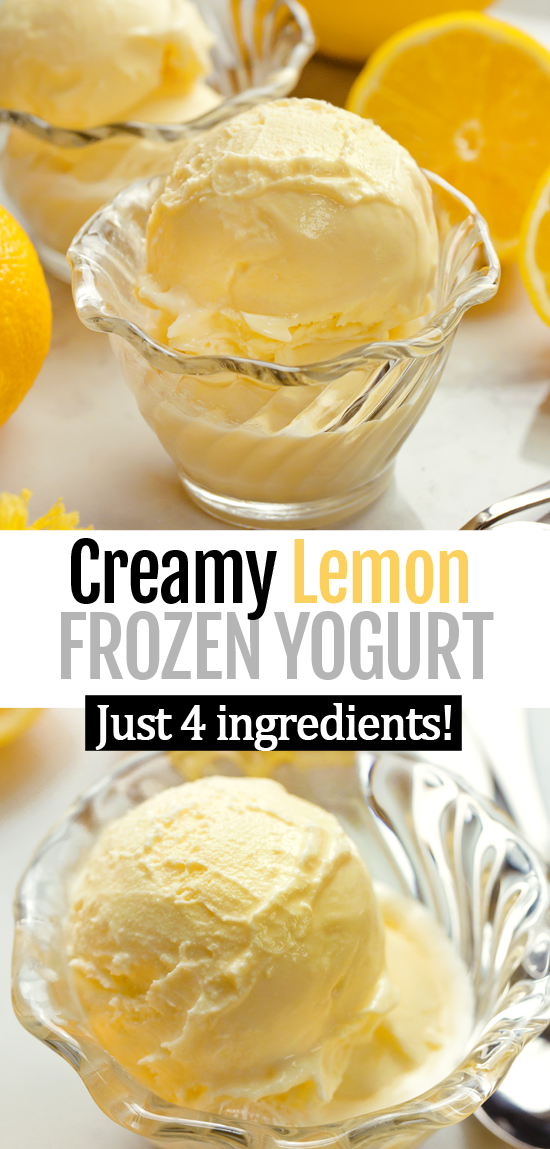 Homemade Lemon Froyo Recipe (Vegan, Egg Free, Dairy Free) Homemade Lemon Froyo Recipe (Vegan, Egg Free, Dairy Free)