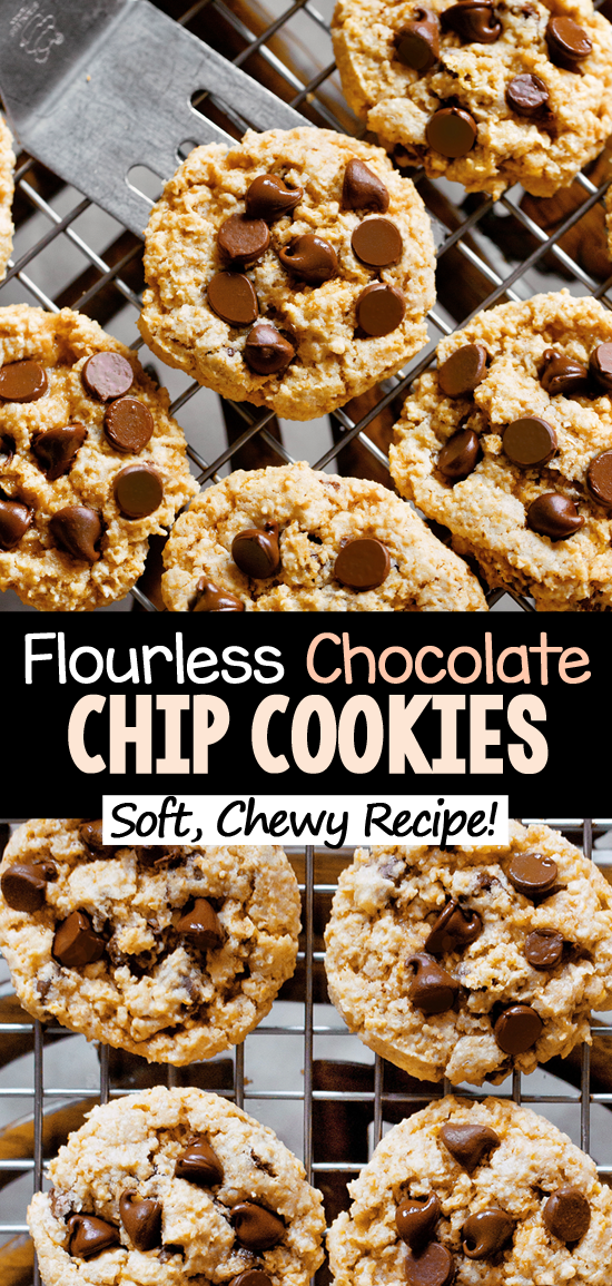 Easy Oatmeal Flourless Chocolate Chip Cookie Recipe Easy Oatmeal Flourless Chocolate Chip Cookie Recipe