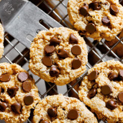 Flourless Chocolate Chip Cookies Recipe