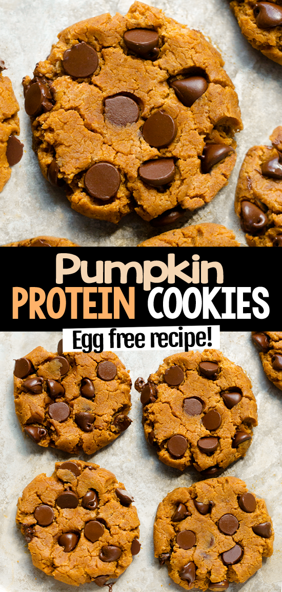 High Protein Pumpkin Chocolate Chip Cookies (Workout Recipe) High Protein Pumpkin Chocolate Chip Cookies (Workout Recipe)