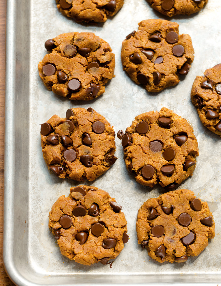 The Best Pumpkin Protein Cookies
