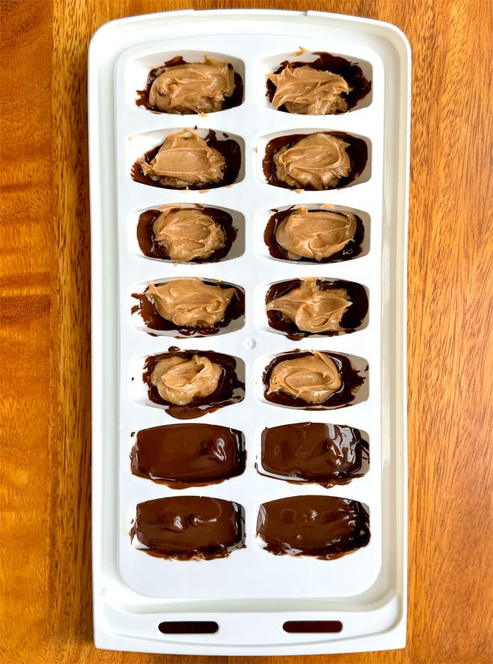 Quick Ice Cube Tray Dessert Quick Ice Cube Tray Dessert