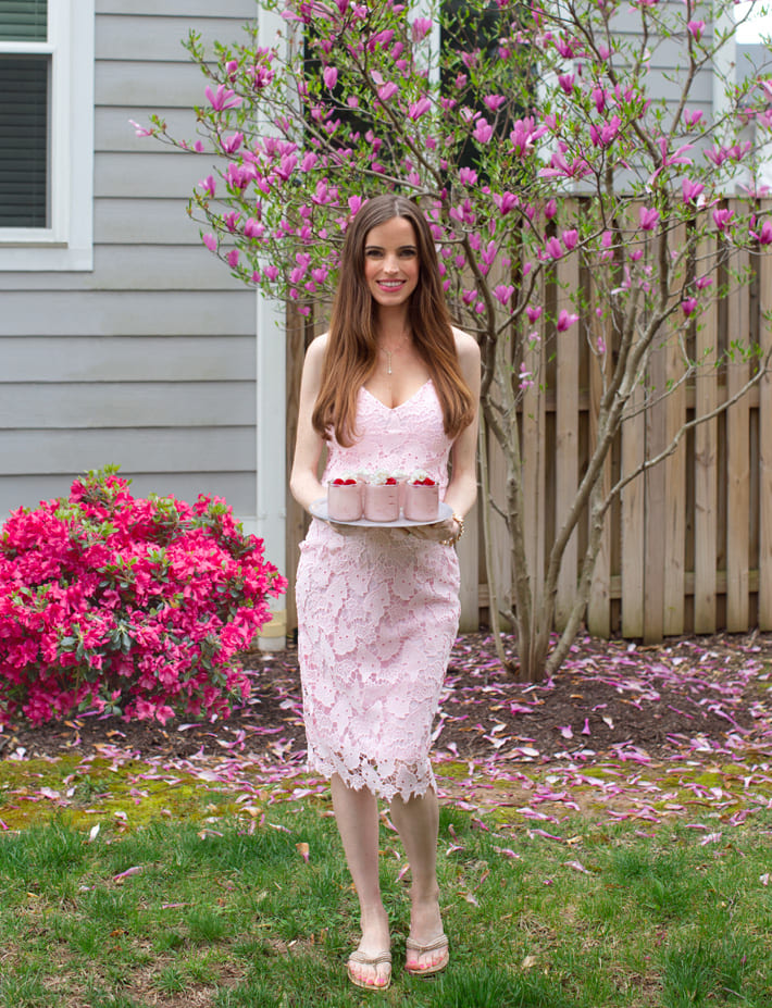 Brunch Party Raspberry Dessert Chocolate Covered Katie Brunch Party Raspberry Dessert Chocolate Covered Katie