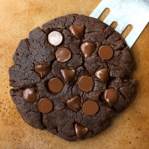 Single Serving Chocolate Protein Cookie Recipe
