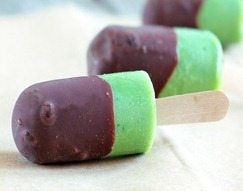 mint chocolate popsicle mint chocolate popsicle
