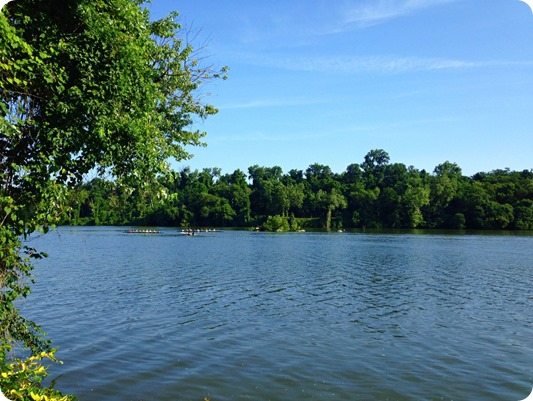 The Potomac The Potomac