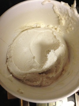 vegan ice cream vegan ice cream