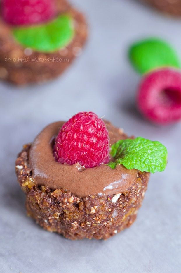 RAW CHOCOLATE ICE CREAM PIES - gluten-free / soy-free / sugar-free / dairy-free / paleo / vegan. Full recipe link: https://lett-trim.today/2015/07/06/raw-chocolate-dessert-ice-cream/