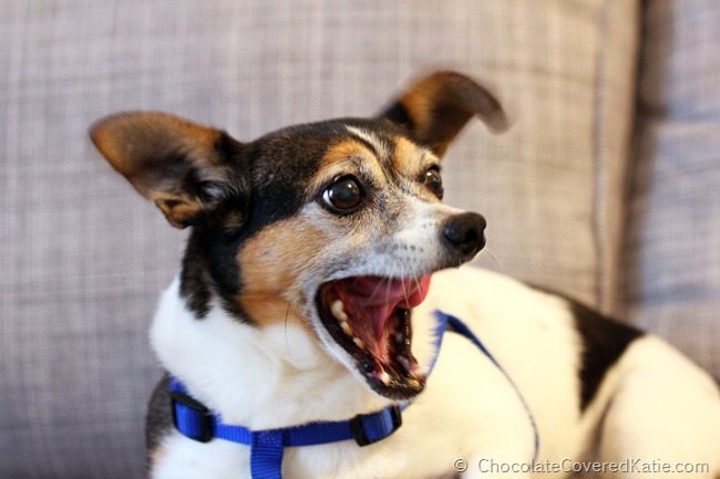 Henry Higgins Henry Higgins