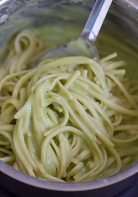 A low-calorie & meatless meal that’s surprisingly high in protein… SO rich and creamy, and can be made in under 20 minutes, from start to finish! https://lett-trim.today/2015/09/17/avocado-alfredo-recipe/ A low-calorie & meatless meal that’s surprisingly high in protein… SO rich and creamy, and can be made in under 20 minutes, from start to finish! https://lett-trim.today/2015/09/17/avocado-alfredo-recipe/