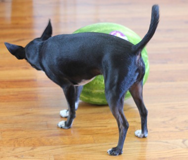 batman fighting batman fighting