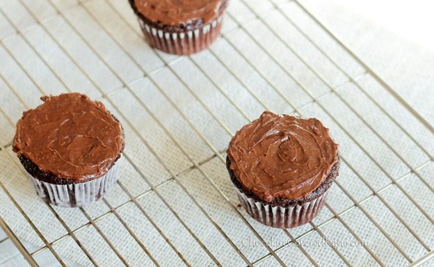 chocolate cupcakes