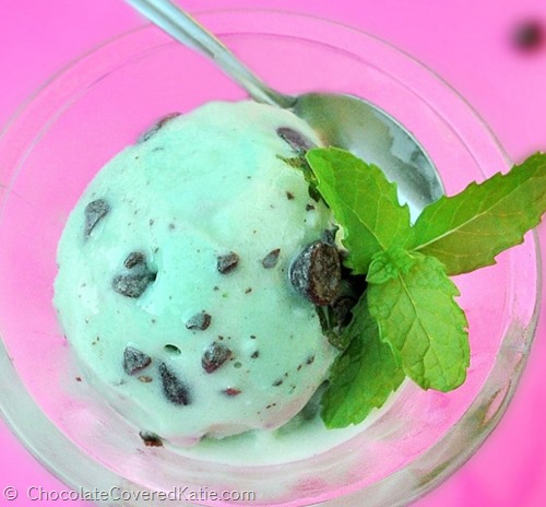 mint chocolate chip ice cream mint chocolate chip ice cream