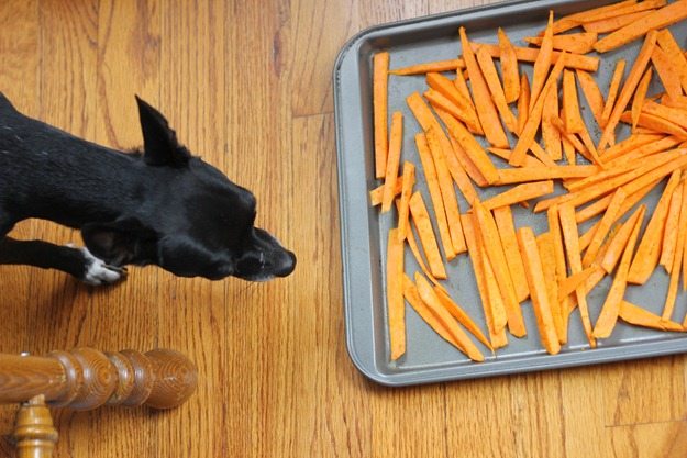 bloopers batman bloopers batman