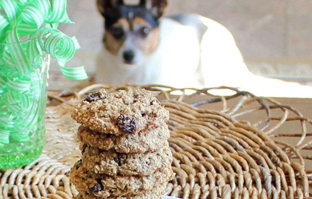 dog cookies dog cookies