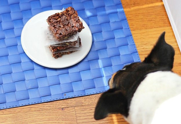 food photography tips food photography tips