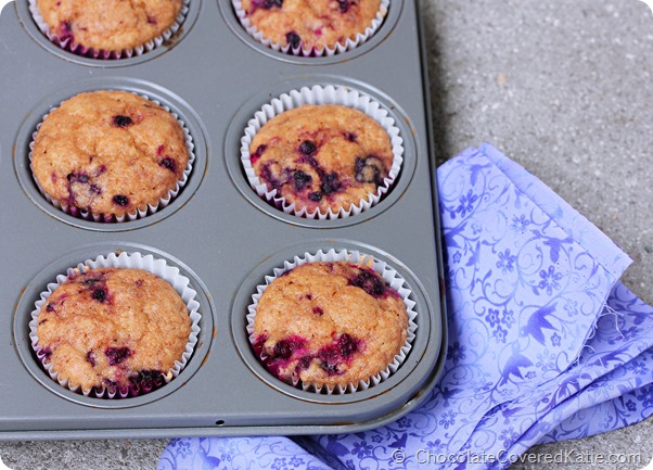 Blackberry Muffins Blackberry Muffins