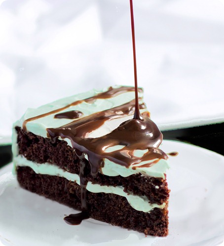 mint chocolate cake mint chocolate cake